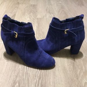 DV royal blue suede booties